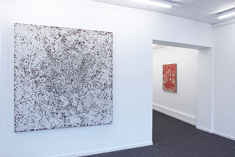 Michael Kravagna - Galerie Détour, Namur, 2013