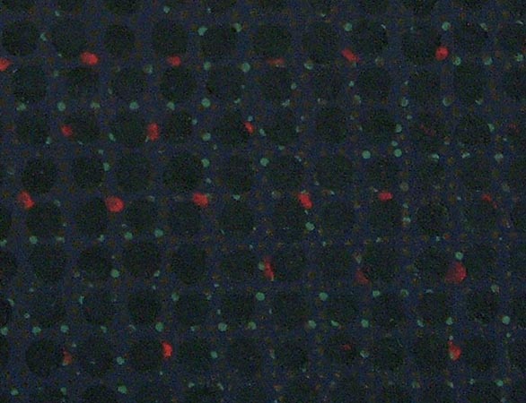 Michael Kravagna - Oil,oilstick  on canvas detail, 40x40, 1997-2004